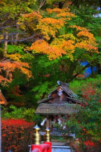 祓戸社前の朱塗りの欄干と紅葉320×480