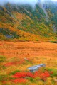 伊那前岳の斜面と広がる草紅葉320×480