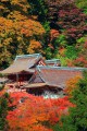 談山神社本殿の建物と紅葉640×960