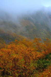 霧の中の急峻な山々320×480