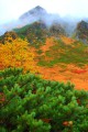 這い松から見る宝剣岳320×480