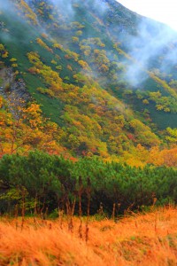 緑豊かな山の斜面640×960