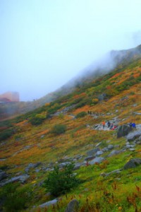 登山道と分岐するあたりから320×480