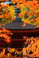 談山神社十三重塔と紅葉クローズアップ320×480