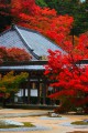 永源寺方丈前の庭園640×960