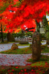 開山堂前庭を横から320×480