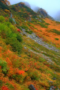 山の上にかかっているガスと紅葉640×960