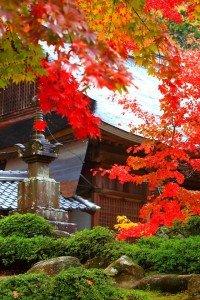 開山堂手前あたりの風景640×960