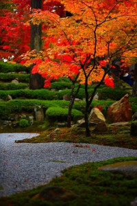 雰囲気の良い法堂横庭園320×480