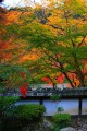 落ち着いた佇まいの福寿院庭園の紅葉640×960