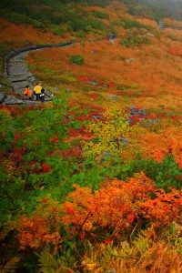 紅葉の中を行く登山者640×960