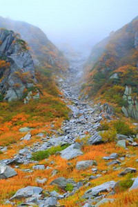 駒ヶ岳登山道付近640×960