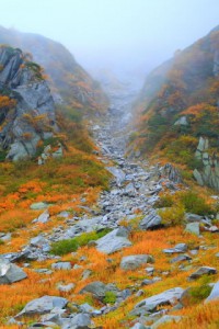 駒ヶ岳登山道付近320×480