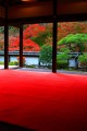 客殿の奥から見た福寿院庭園640×960