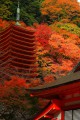 談山神社十三重塔と見事な紅葉640×960