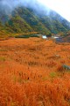 草紅葉と伊那前岳の斜面320×480