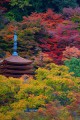 談山神社十三重塔と紅葉クローズアップ640×960