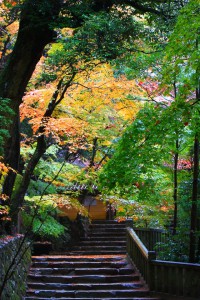 永源寺総門手前の参道640×960