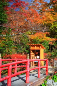 談山神社入口付近の紅葉と赤い橋320×480