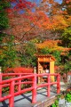 談山神社入口付近の紅葉と赤い橋320×480