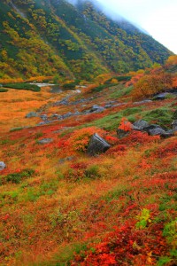 ギザギザに見える伊那前岳の斜面640×960