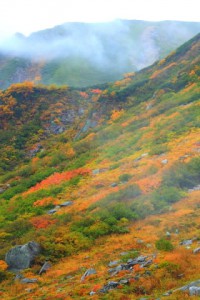 流れる雲と紅葉320×480