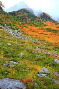 転がっている岩と聳えている山320×480