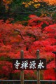 永源禅寺の看板と赤い紅葉320×480