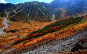 雷鳥沢の紅葉風景1280×800