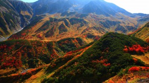 紅葉に彩られた立山主峰群1366×768