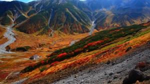 雷鳥沢の紅葉風景1366×768