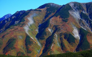 立山連峰・剣御前付近の紅葉1440×900