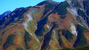立山連峰・剣御前付近の紅葉1600×900
