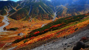雷鳥沢の紅葉風景1600×900