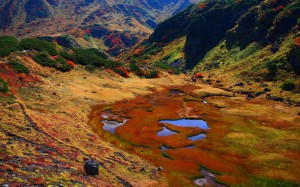 立山血の池の紅葉1440×900