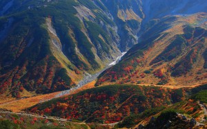 富士ノ折立麓の紅葉1440×900