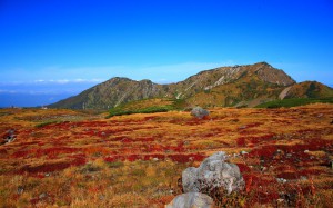室堂の草紅葉と大日岳1440×900