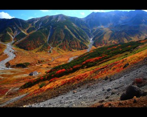 雷鳥沢の紅葉風景1280×1024