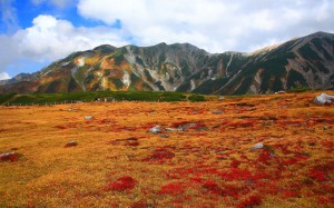 立山連峰と室堂付近の草紅葉1440×900