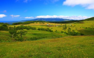 広々としているきじひき高原の風景1440×900