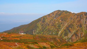 大日岳と紅葉1366×768