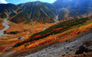 雷鳥沢の紅葉風景1920×1200