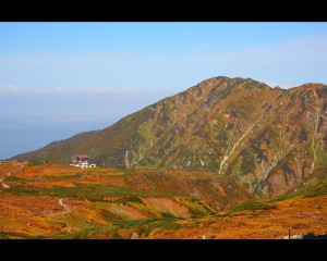 大日岳と紅葉1280×1024