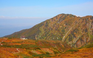 大日岳と紅葉1680×1050