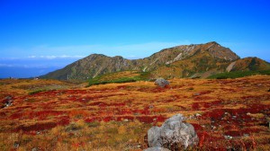 室堂の草紅葉と大日岳1600×900
