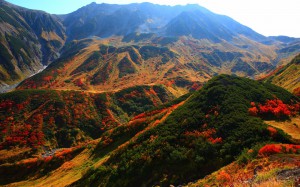 紅葉に彩られた立山主峰群1440×900