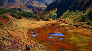立山血の池の紅葉1600×900