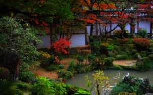 紅葉時期の西明寺蓬莱庭1280×800
