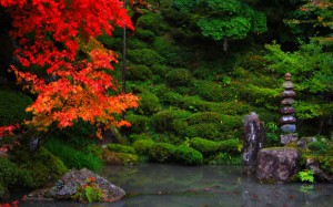 明寿院庭園江戸初期の池と紅葉1680×1050