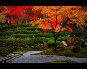 永源寺庭園の紅葉1280×1024